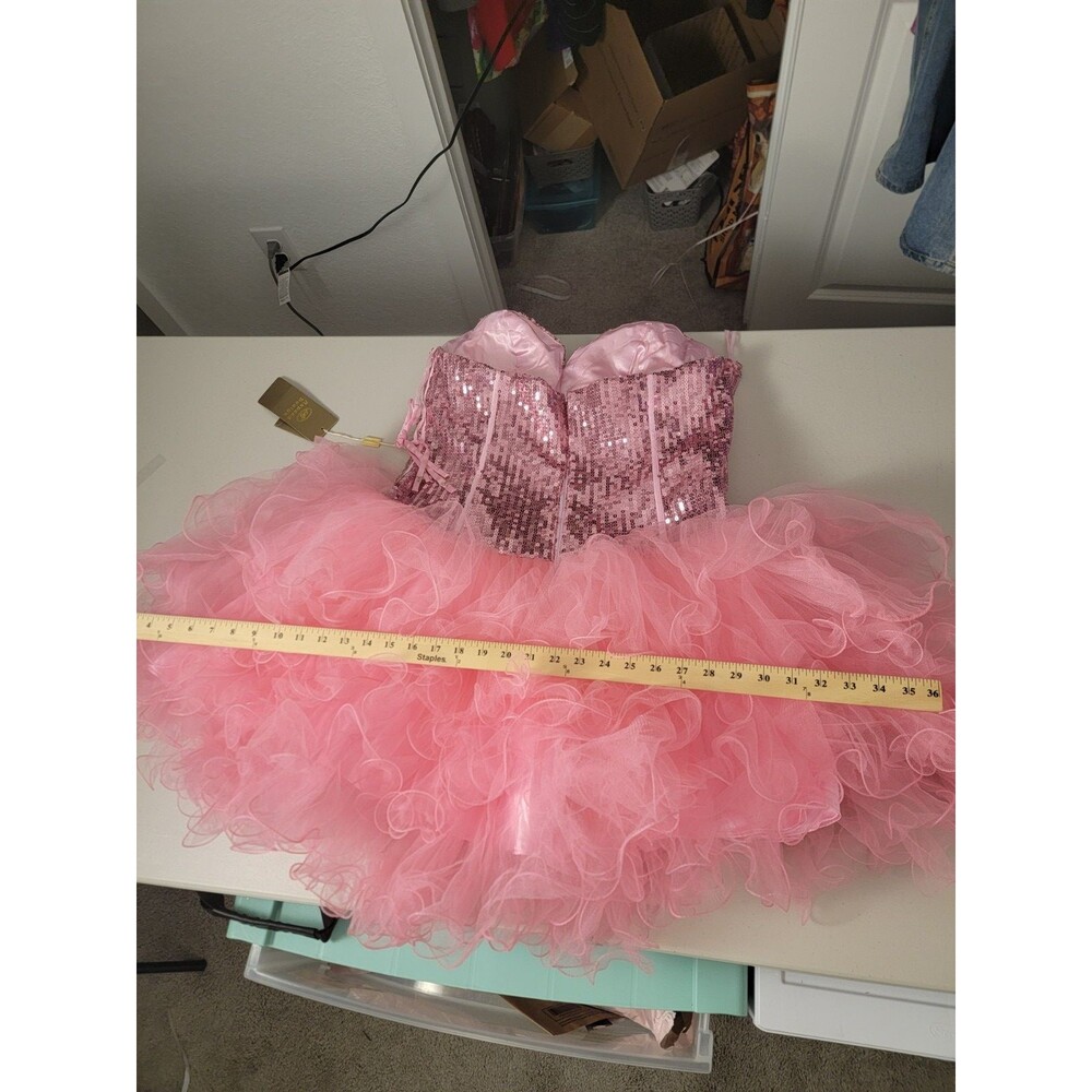 Aspeed Pink PrincessCore FairyCore Corset Tutu Dress Tulle Size 2X - Picture 7 of 16